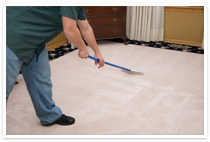 Seattle area rug steam cleaning