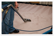 carpet steam cleaning in Seattle
